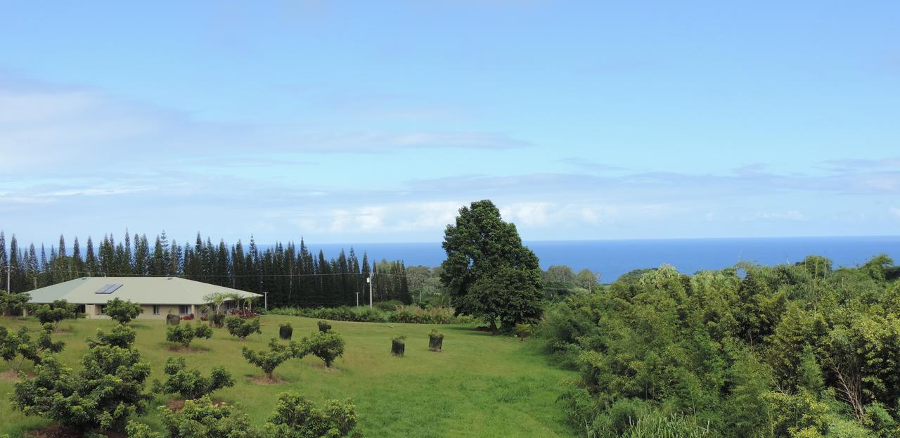 Mahana House Country Inn North Hilo Екстер'єр фото
