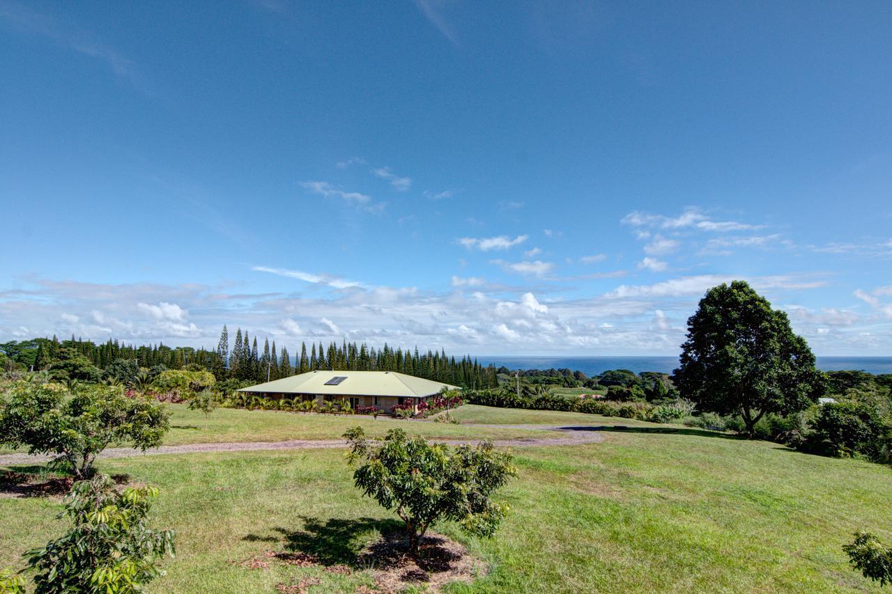 Mahana House Country Inn North Hilo Екстер'єр фото